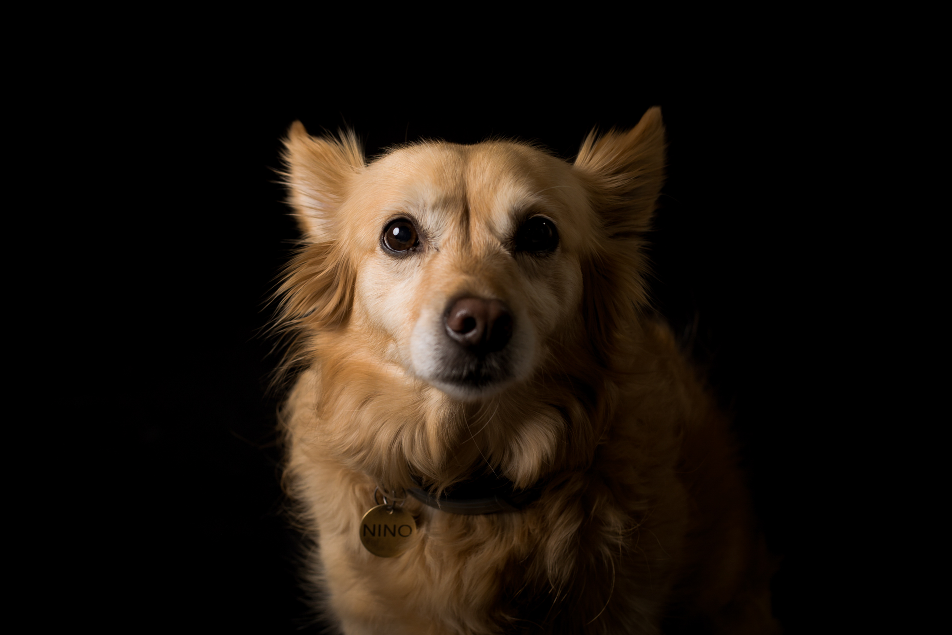 foto-di-cani-Lisa-Conti-2022